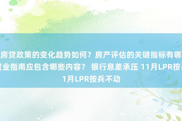 房贷政策的变化趋势如何？房产评估的关键指标有哪些？置业指南应包含哪些内容？ 银行息差承压 11月LPR按兵不动