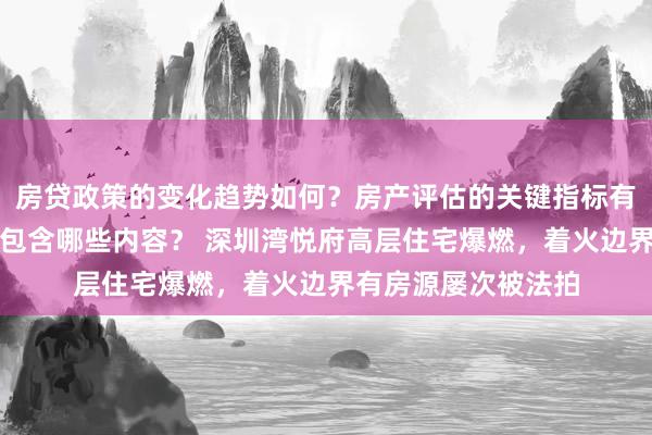 房贷政策的变化趋势如何？房产评估的关键指标有哪些？置业指南应包含哪些内容？ 深圳湾悦府高层住宅爆燃，着火边界有房源屡次被法拍