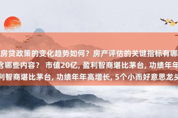 房贷政策的变化趋势如何？房产评估的关键指标有哪些？置业指南应包含哪些内容？ 市值20亿, 盈利智商堪比茅台, 功绩年年高增长, 5个小而好意思龙头