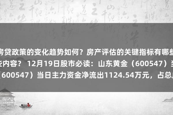 房贷政策的变化趋势如何？房产评估的关键指标有哪些？置业指南应包含哪些内容？ 12月19日股市必读：山东黄金（600547）当日主力资金净流出1124.54万元，占总成交额2.59%