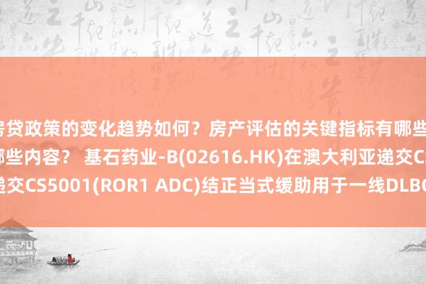 房贷政策的变化趋势如何？房产评估的关键指标有哪些？置业指南应包含哪些内容？ 基石药业-B(02616.HK)在澳大利亚递交CS5001(ROR1 ADC)结正当式缓助用于一线DLBCL的临床傍观恳求